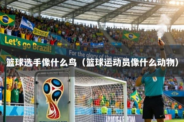 篮球选手像什么鸟（篮球运动员像什么动物）