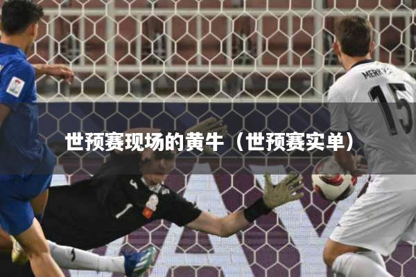 世预赛现场的黄牛（世预赛实单）