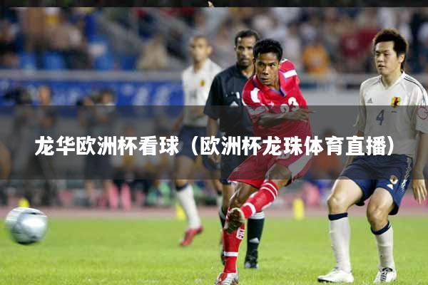 龙华欧洲杯看球（欧洲杯龙珠体育直播）