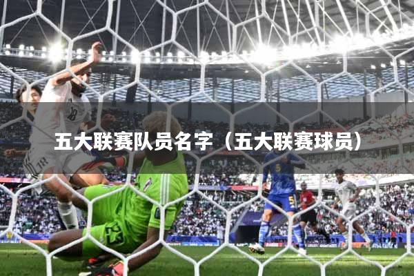 五大联赛队员名字（五大联赛球员）
