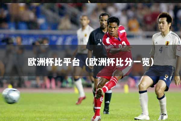 欧洲杯比平台（欧洲杯比分一览）