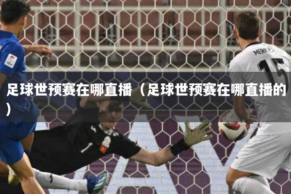 足球世预赛在哪直播（足球世预赛在哪直播的）