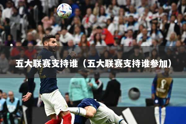 五大联赛支持谁（五大联赛支持谁参加）