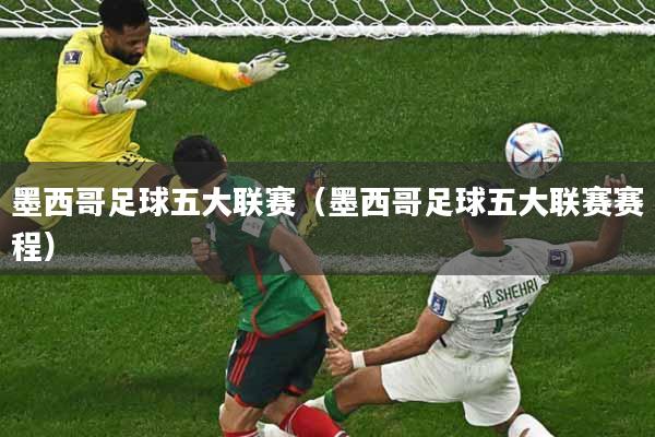 墨西哥足球五大联赛（墨西哥足球五大联赛赛程）