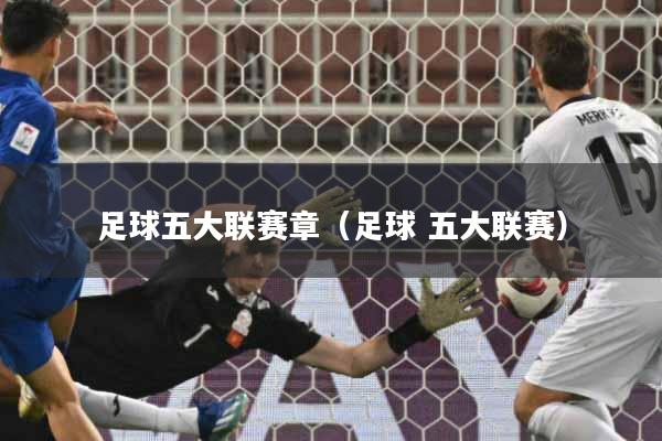 足球五大联赛章（足球 五大联赛）